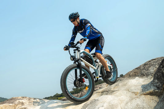 APEFOX N26 Electric Bike