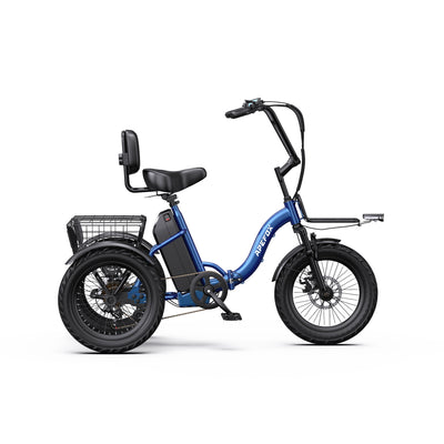 APEFOX RH30 Electric Trike