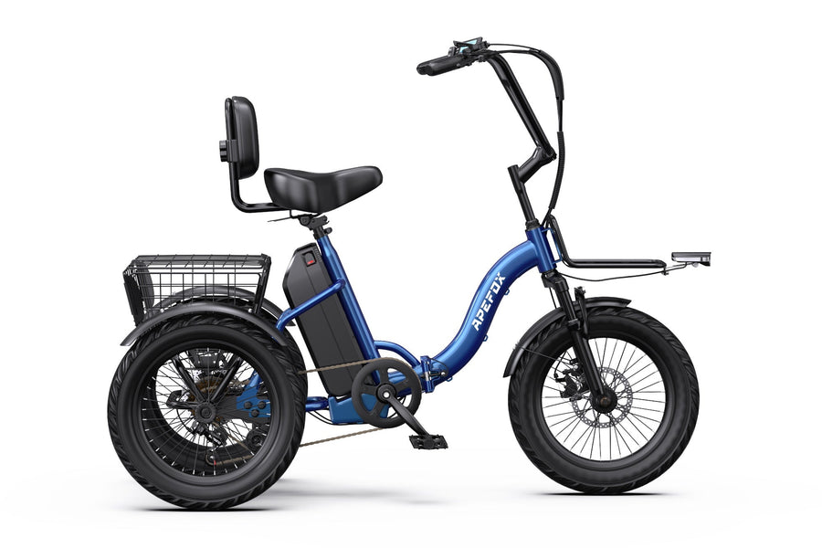 APEFOX RH30 Electric Trike