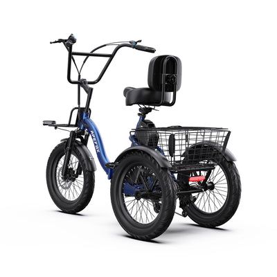 APEFOX RH30 Electric Trike