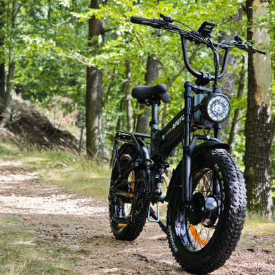 APEFOX RH20 E-Bike